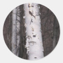 Suche nach baumrinde aufkleber Wald