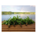 Suche nach birke poster Blatt