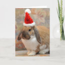 Suche nach zwerge karten Weihnachten