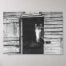 Suche nach pferdebilder poster Tiere