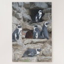 Suche nach die antarktis puzzle Jede person