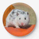 Suche nach niedliche hamster teller Lustig