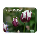 Suche nach lila tulpe Mutter