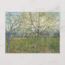 Suche nach blühende bäume postkarten Für alle