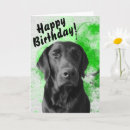 Suche nach labrador retriever karten Hundekarte