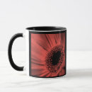 Suche nach roter gerbera tassen Sommer