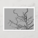 Suche nach abstrakte bäume postkarten Minimal