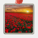 Suche nach feld ornamente Bauernhof
