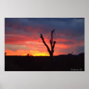Suche nach az poster Sonnenuntergang