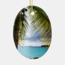 Suche nach tropische insel ornamente Palmen