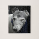 Suche nach windhund puzzle Für alle