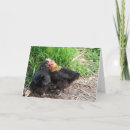 Suche nach snuggling Tiere