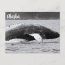 Suche nach tierfotografie Tierkunst
