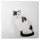 Suche nach flecken fliesen Tier