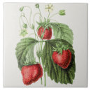 Suche nach botanische illustration fliesen Rot