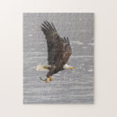 Suche nach weißkopfseeadler puzzle Natur