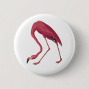 Suche nach florida flamingo buttons Jede person
