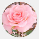 Suche nach rosenblüte aufkleber Stilvoll