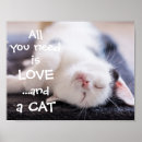 Suche nach liebe meine katze poster Lustig
