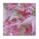 Suche nach herbstlaub fliesen Jede person