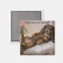 Suche nach dachshund magnete Wursthund