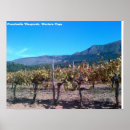 Suche nach weinberg poster Wand