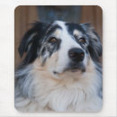 Suche nach australischer hund mousepads Jede person