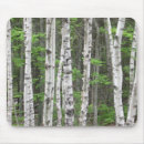 Suche nach weiße birke mousepads Wald
