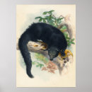 Suche nach wolf illustration poster Natur