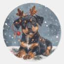 Suche nach rottweiler aufkleber Liebhaber