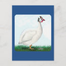 Suche nach tölpel postkarten Jede person