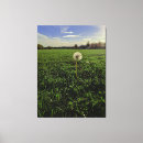 Suche nach löwenzahn poster leinwandbilder Jede person