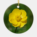 Suche nach netter ornamente Natur