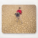 Suche nach sprung mousepads Lustig
