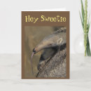 Suche nach aardvark karten Flirt