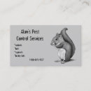 Suche nach eichhörnchen visitenkarten Geschäft