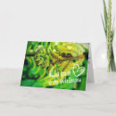 Suche nach neuseeland Kiwi