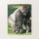 Suche nach gorilla puzzle Zoo