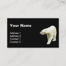 Suche nach eisbären visitenkarten Wild lebende tiere