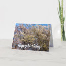 Suche nach kirschbaum karten Für alle