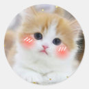 Suche nach kawaii kätzchen aufkleber Süßes tier