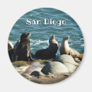Suche nach san diego magnet magnete Foto
