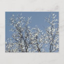 Suche nach blaues eis postkarten Winter