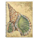 Suche nach muscheln kleine notizbücher Natur