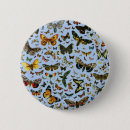 Suche nach schmetterlinge und motten buttons Raupe