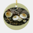 Suche nach sonnenschirm ornamente Pilz