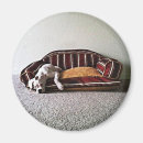 Suche nach hündchen magnete Für alle