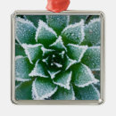 Suche nach frost ornamente Kalt