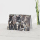 Suche nach burro karten Esel