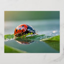 Suche nach optimistisch postkarten Natur